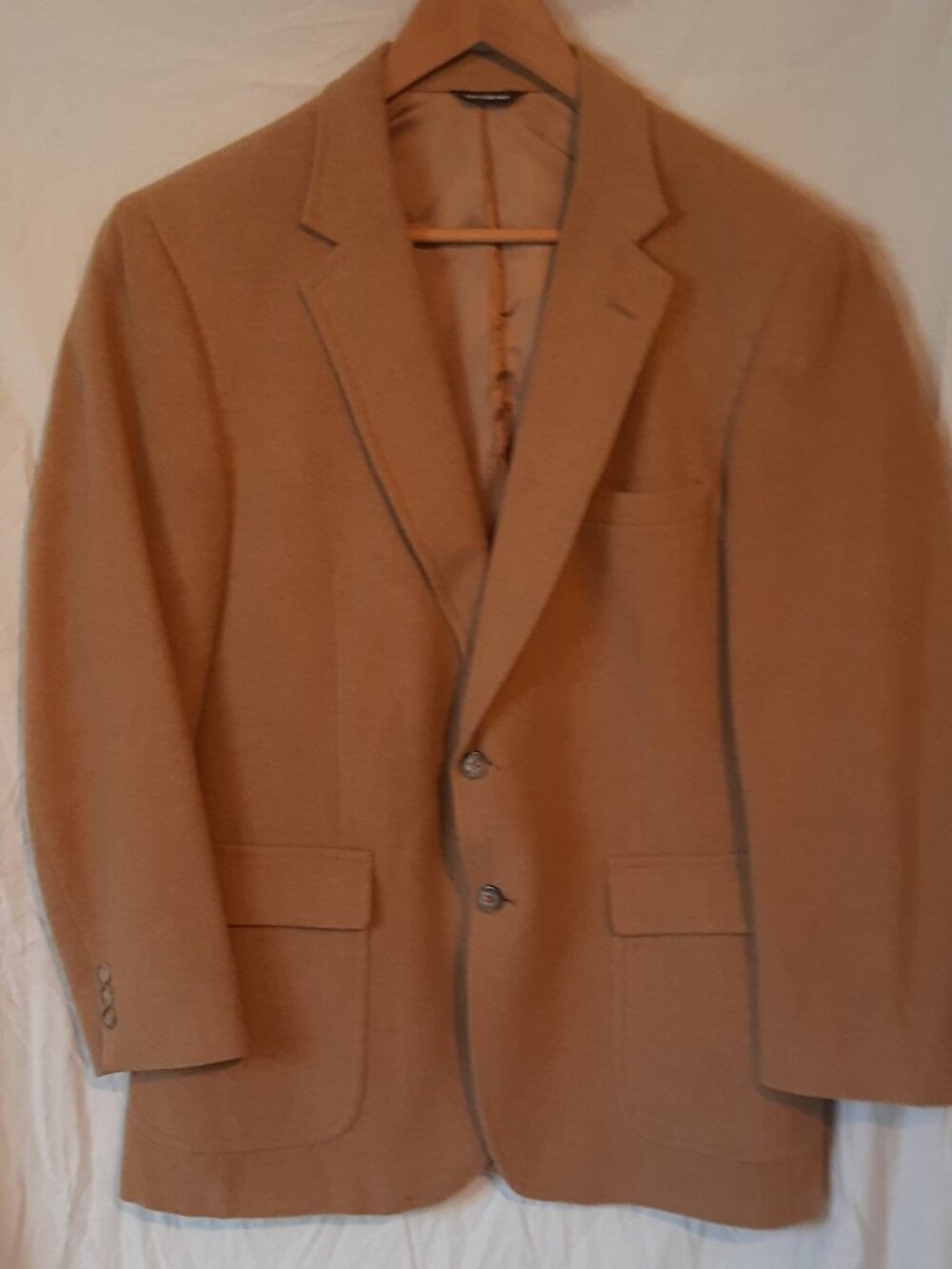 Botany 500 Natural Camelhair Blazer, 42S